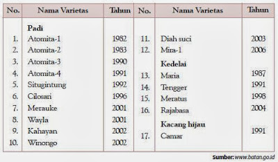 Beberapa Varietas Mutan Tanaman Pangan yang Dihasilkan BATAN Beberapa Varietas Mutan Tanaman Pangan yang Dihasilkan BATAN