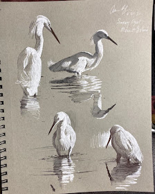 11-Snowy-Egrets-drawing-study-Aaron-Blaise-www-designstack-co