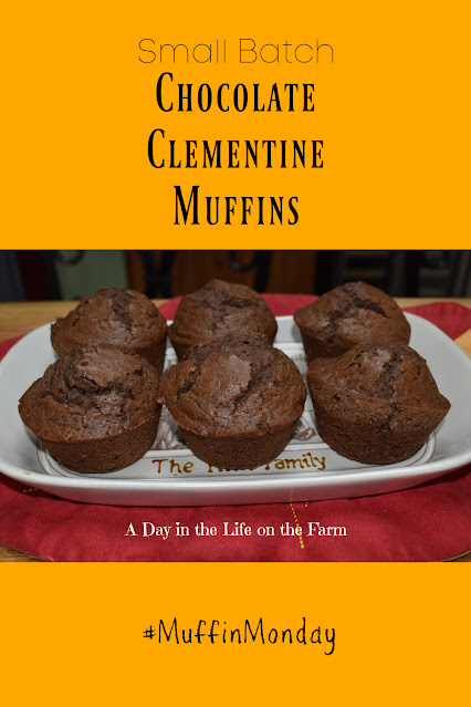 Chocolate Clementine Muffins pin