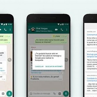 WhatsApp añade búsquedas en Internet para comprobar la información de los mensajes reenviados WhatsApp añade búsquedas en Internet para comprobar la información de los mensajes reenviados