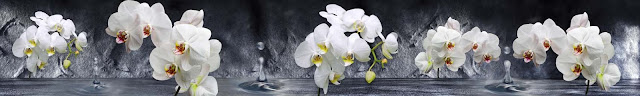  Орхидеи белые для скинали и кухонных фартуков