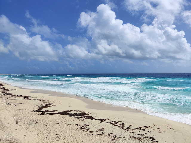 How To Explore Yucatan Peninsula In Mexico cozumel 