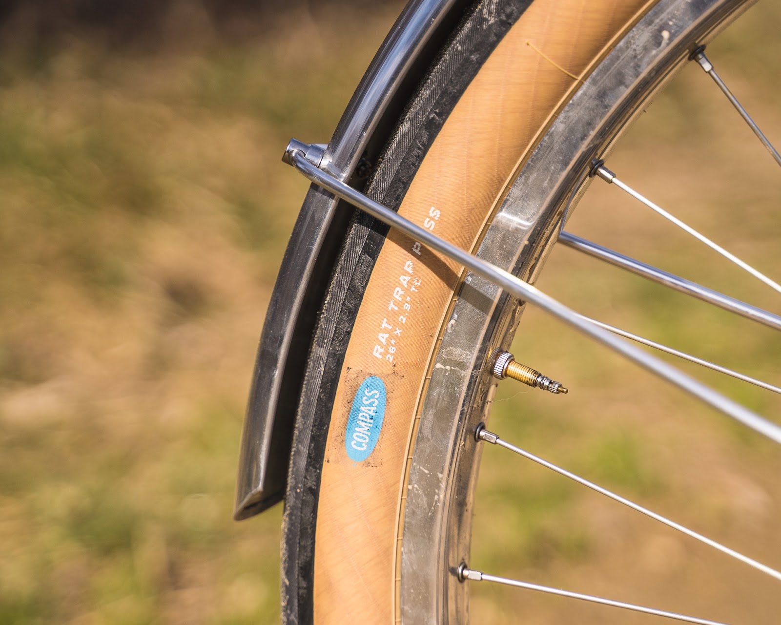 A FutureProof Polyvalent Touring Bike with Downtube Shifters Cycling
