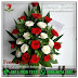 BMTF 01
