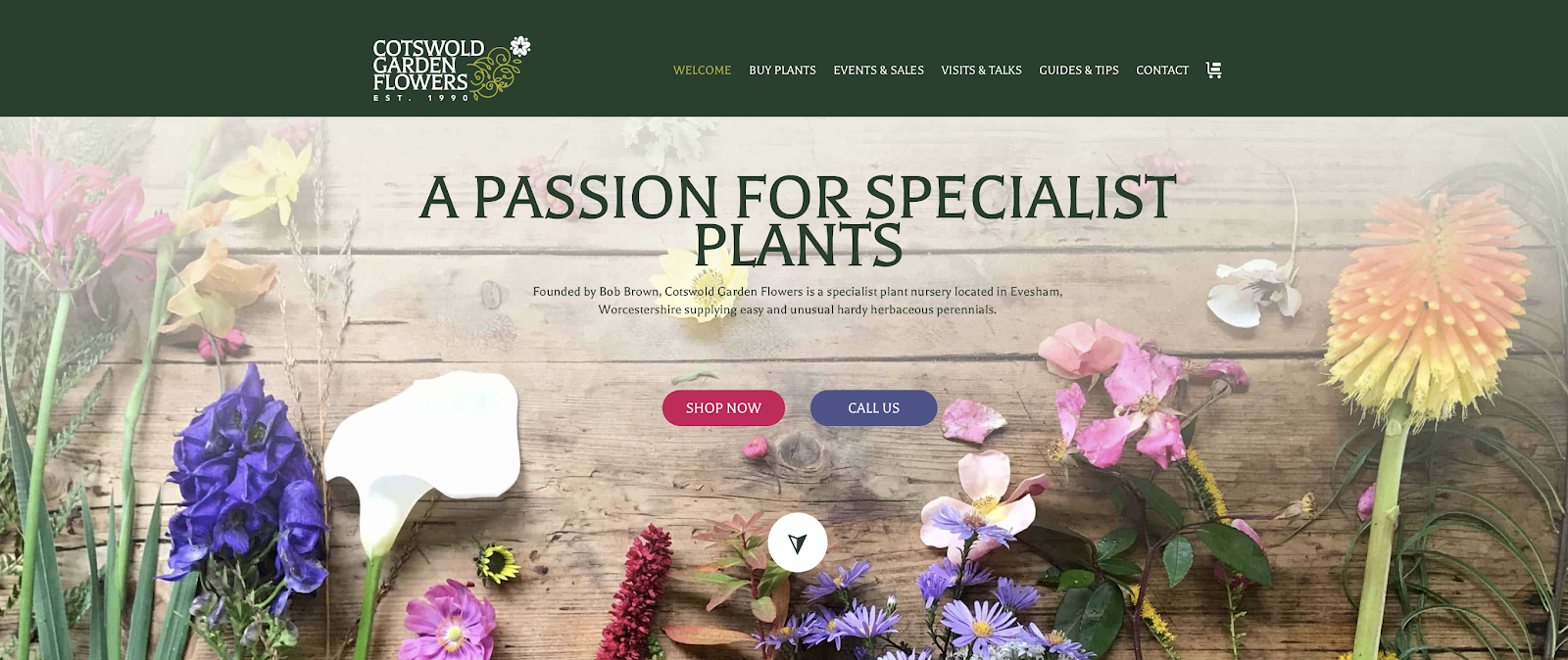 Herry's Journal Favourite Garden Catalogues Cotswold Garden Flowers