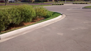 Any contaminants that escape or drip from the Autos in the parking lot will eventually make their way into the modified riparian buffer zone that removes the toxins naturally