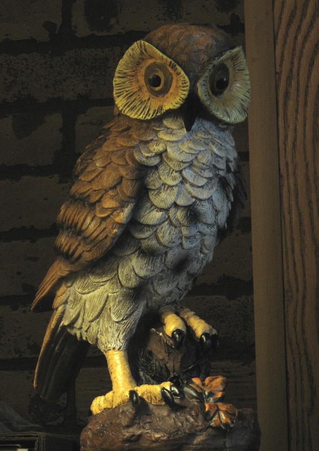 Jim's Junk! Plastic Owls!! A new hobbyfun for all ages.