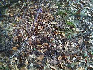 v%25C3%25A5rtecken%2Bmm%2B018 - Härligt solig söndag