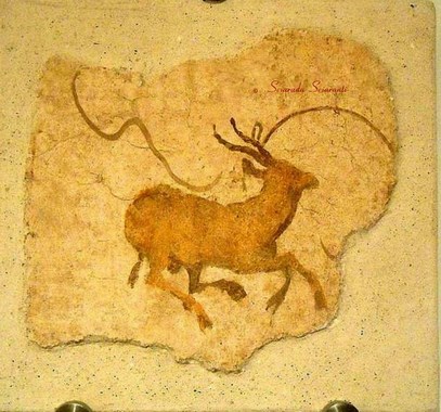 Stambecco alle  alle Terme di Diocleziano - Museo Nazionale Romano