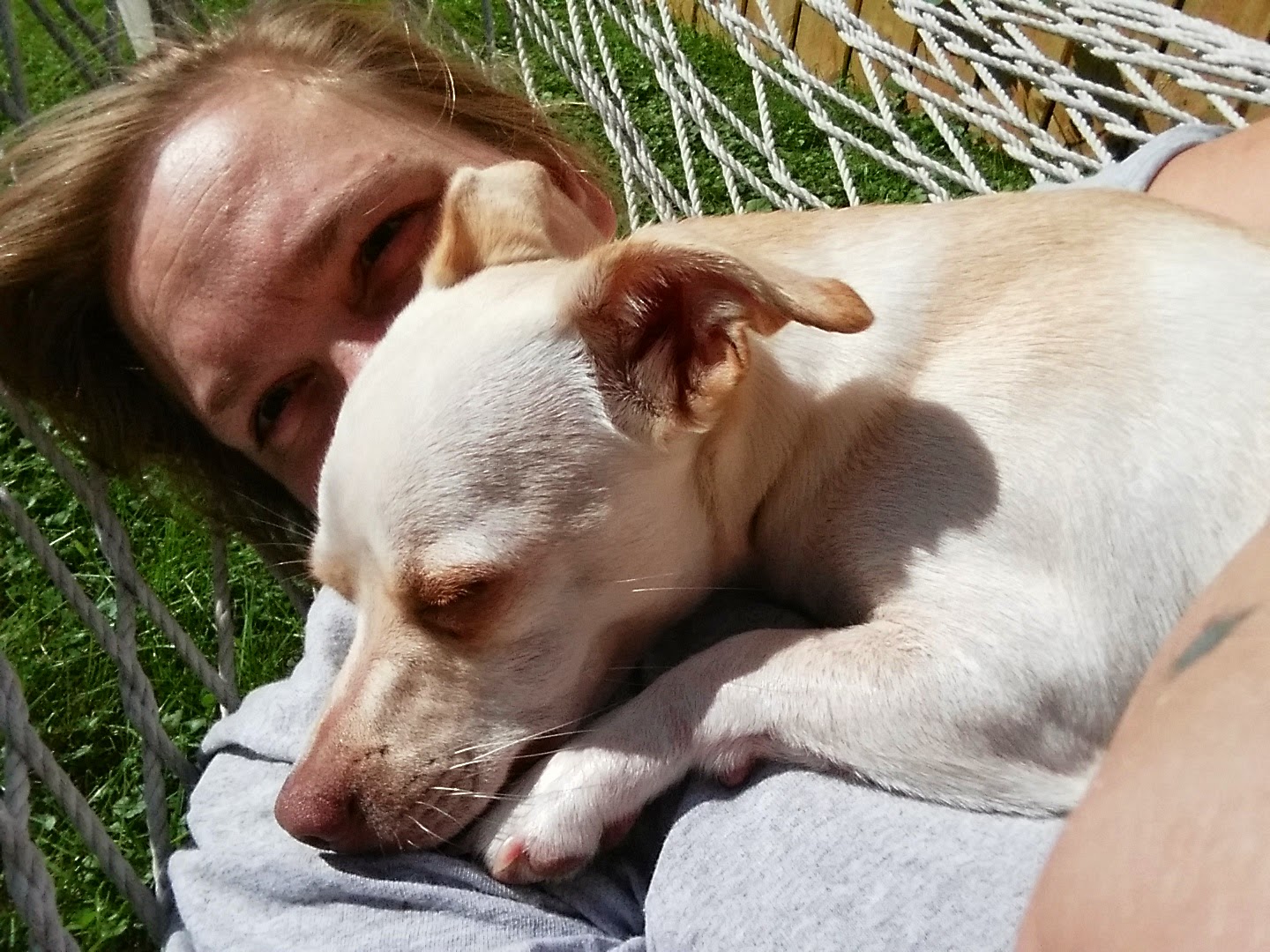 Reactive Champion What We Know About Treating Human PTSD and How That