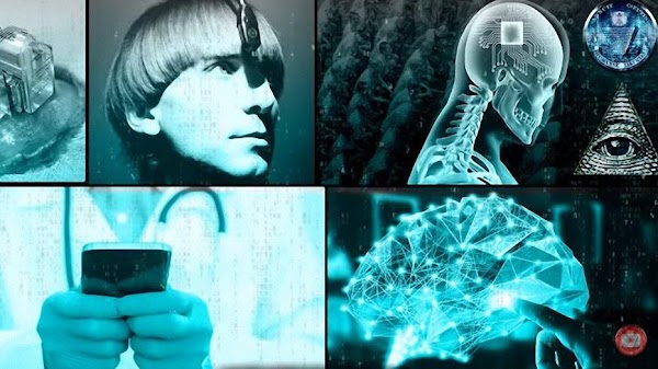 VIDEO: Crean un chip cereblal controlado por un telefono inteligente. VIDEO: Crean un chip cereblal controlado por un telefono inteligente.