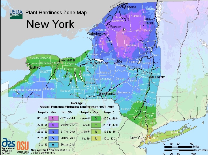 Farmers Know Best: New York USDA Plant Hardiness Zones Map - Growing