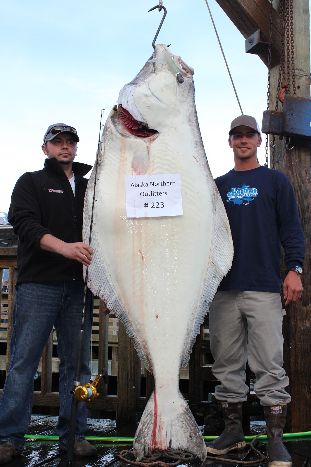 captain-s-blog-august-25th-227lbs-biggest-halibut-of-the-year