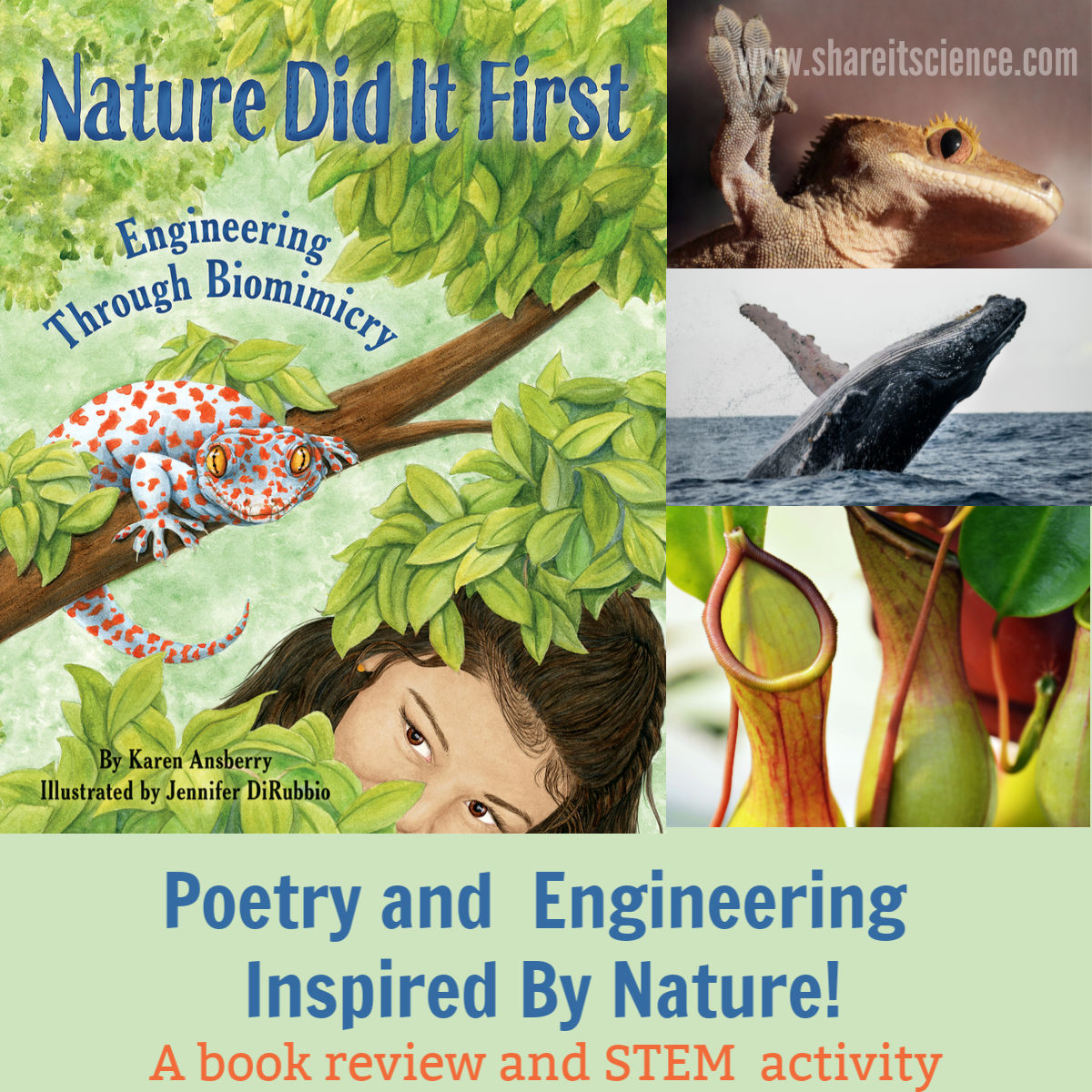 Share it! Science : Poetry and Engineering Inspired by Nature!