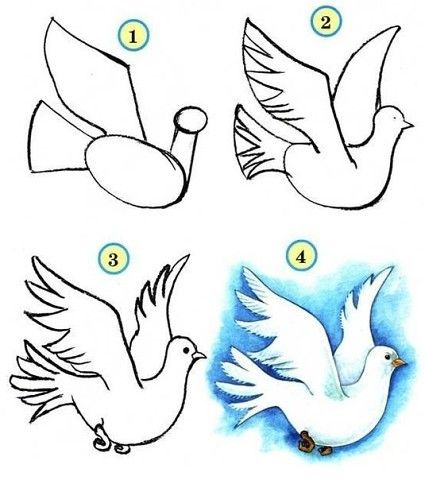 Hinh ve con chim theo tung buoc%2B%25282%2529