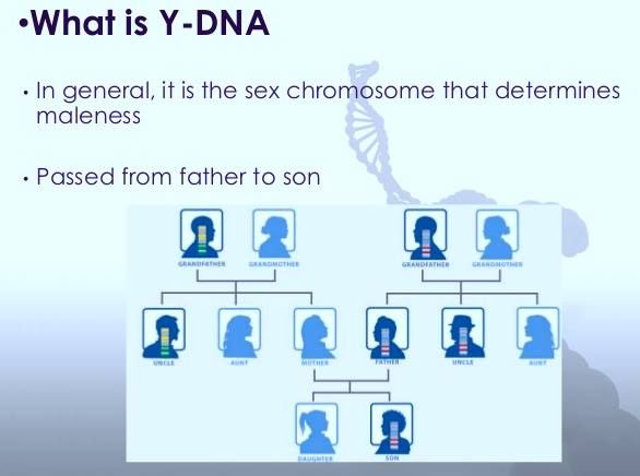 Image result for DNA determine father blogspot.com