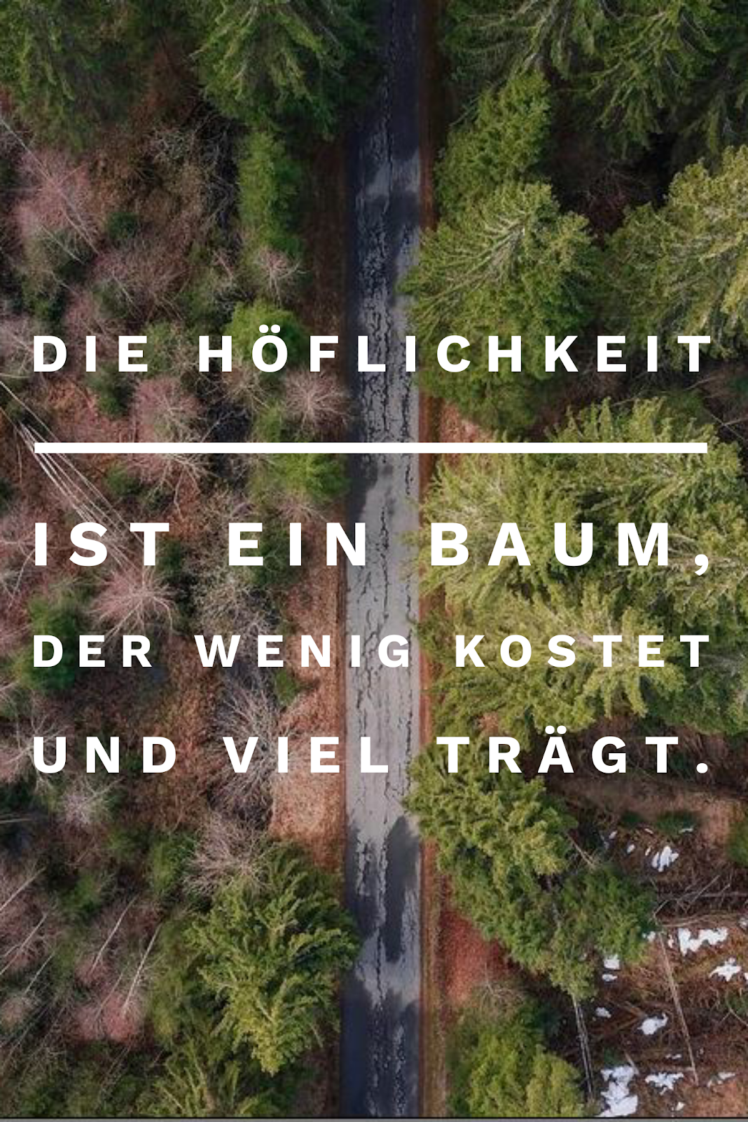 Die 50 besten Zitate zu den Themen Wald und Bäume Waldzitate