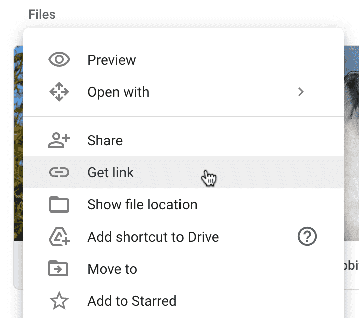 get link of a google drive file