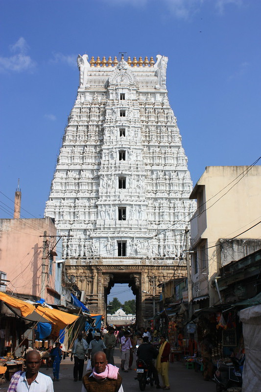 Sri Govindaraja Swamy Brahmotsavam Dates 2024 Tirupati