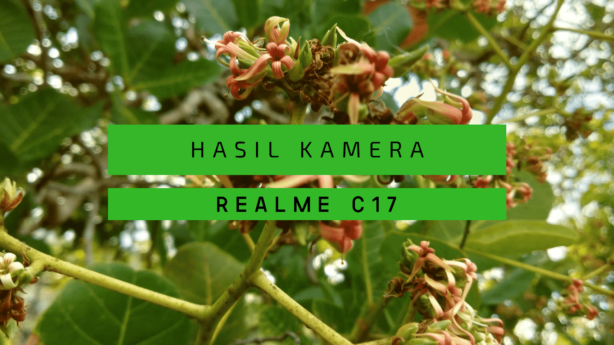 Hasil Kamera Realme C17