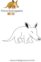 Porco-formigueiro porco-formigueiro