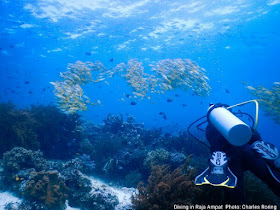 Indonesia's best dive site