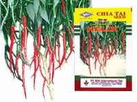 cabe merah keriting, cabai, cabai merah, jual benih cabe, toko pertanian, toko online, lmga agro