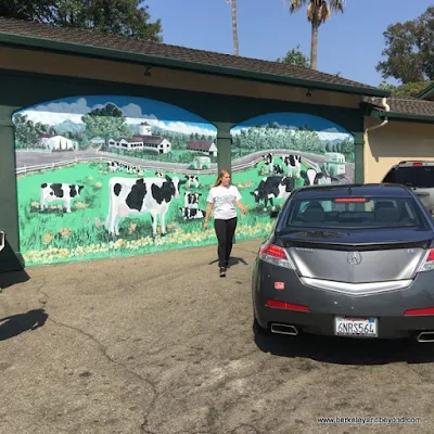 cow mural at Meadowlark Dairy in Pleasanton, California