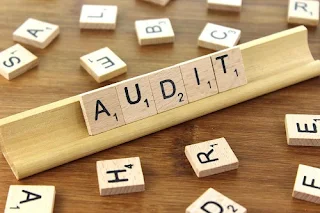 Functions Of Audit or Auditing