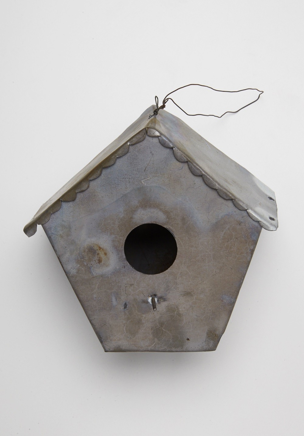 Bird In Everything Metal Bird House