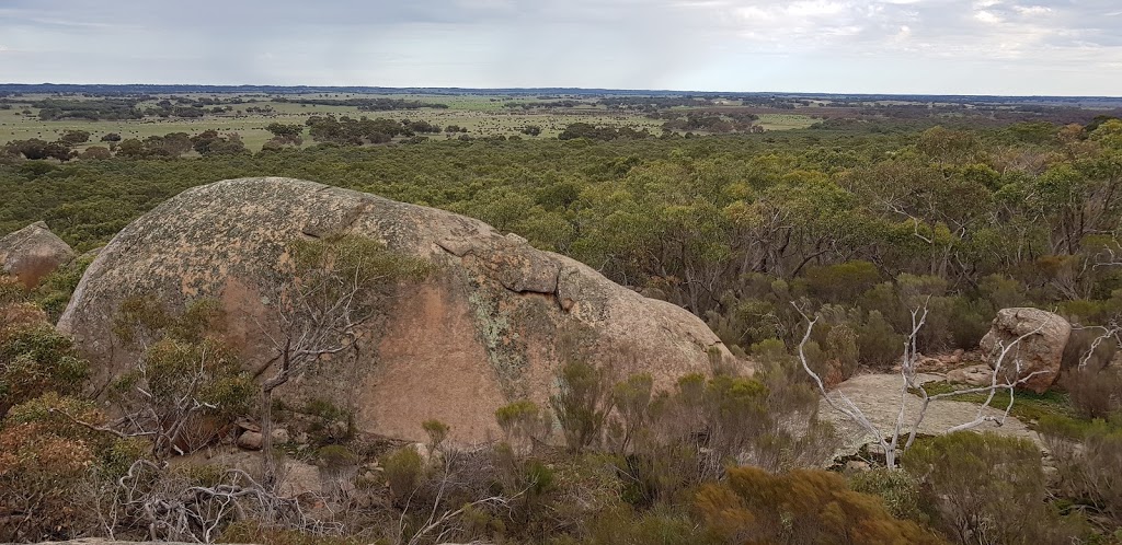 Drunk on Geology Drunk on Petrology Jip Jip Rocks