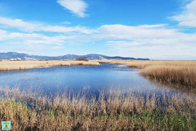 Aiguamolls de l'Empordà, Cataluña