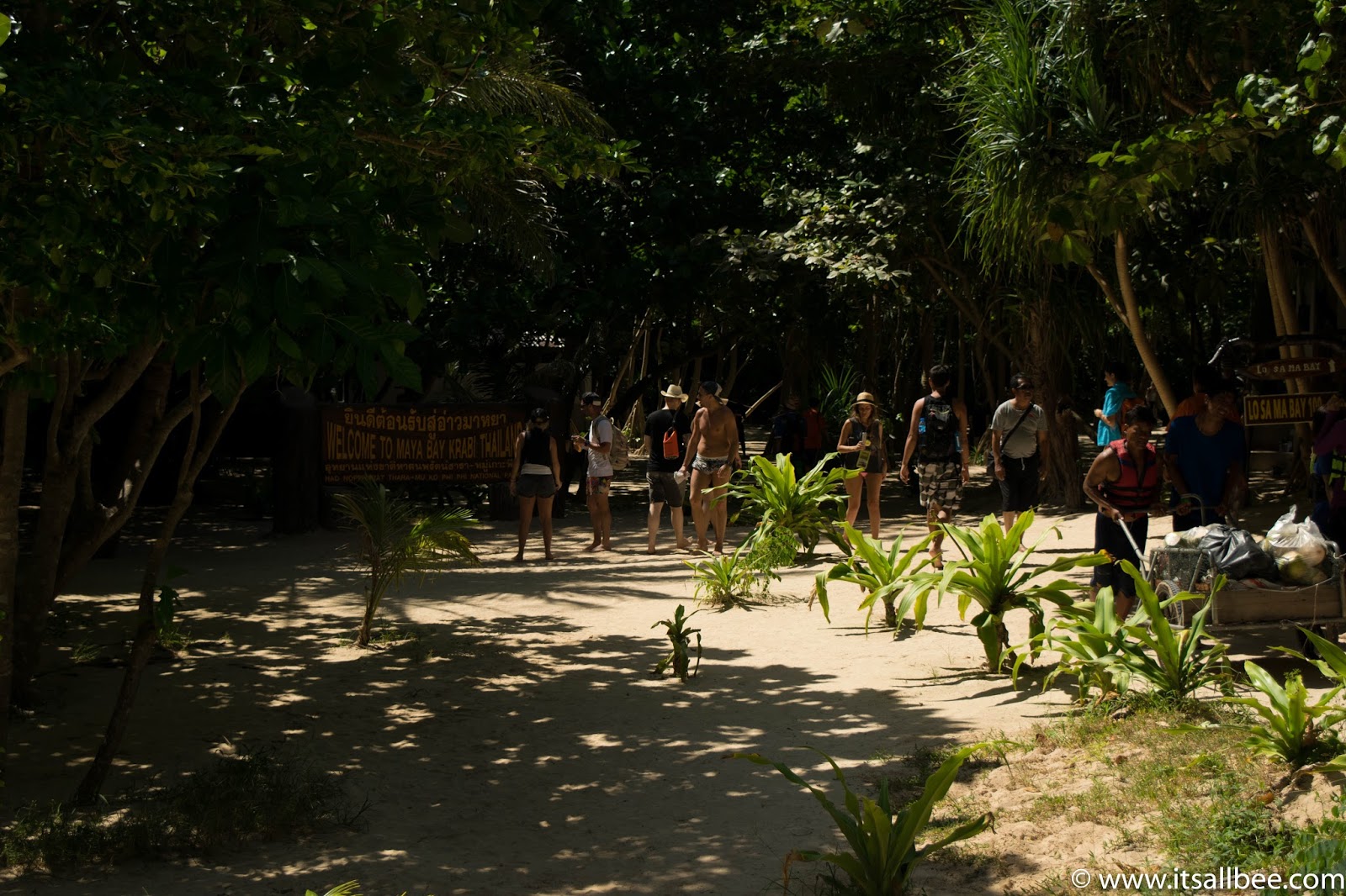 Ko Phi Phi Island - Thailand Ko Phi Phi Island - Thailand - Phi Phi Island Tour | Exploring Loh Samah Bay And Maya Bay