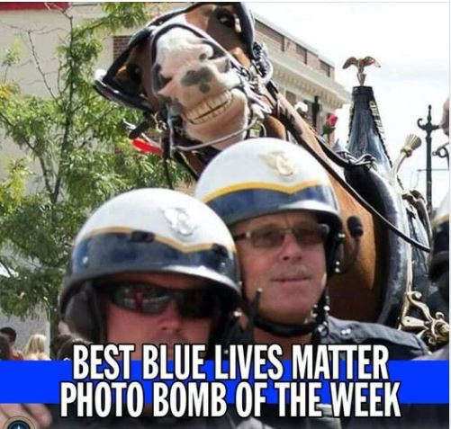 best-blue-lives-matter-photo-bomb-of-week-horse.jpg