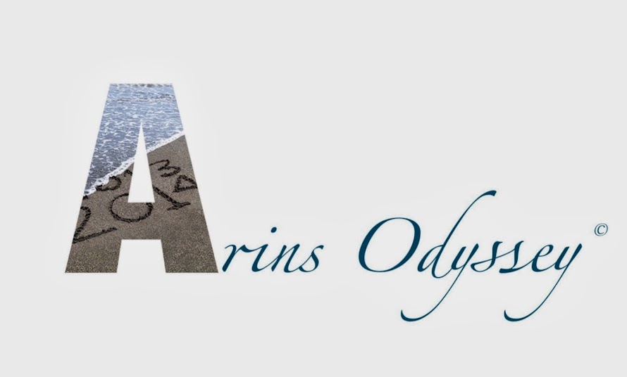 Arin's Odyssey
