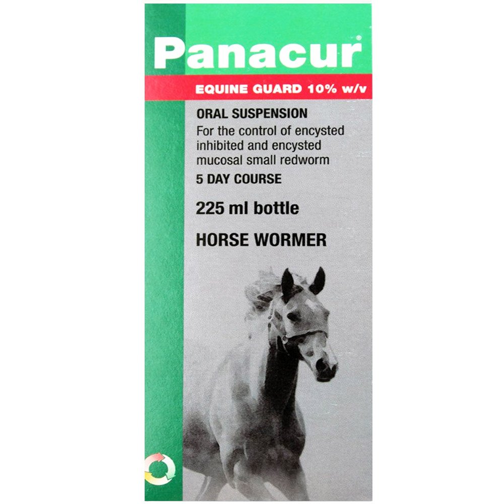 BudgetPetWorld Steps to Eliminate Unseen Worm Infections in Horses