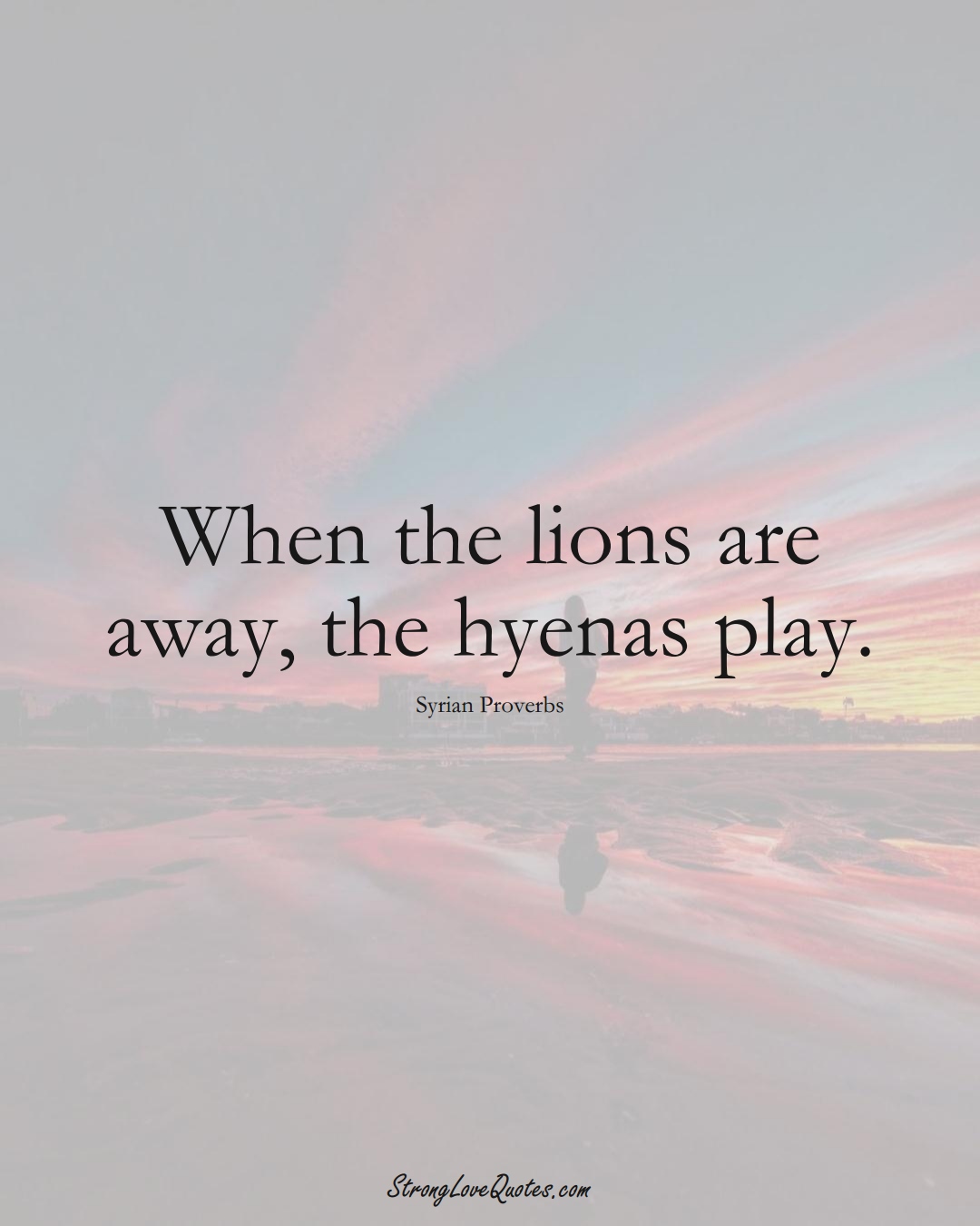 When the lions are away, the hyenas play. (Syrian Sayings);  #MiddleEasternSayings