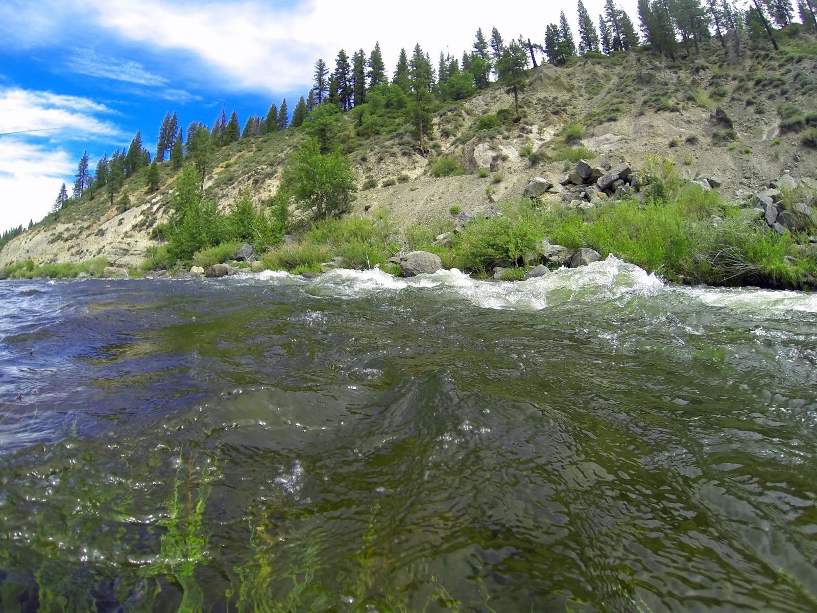 Jon Baiocchi Fly Fishing News Middle Fork Feather River Fly Fishing