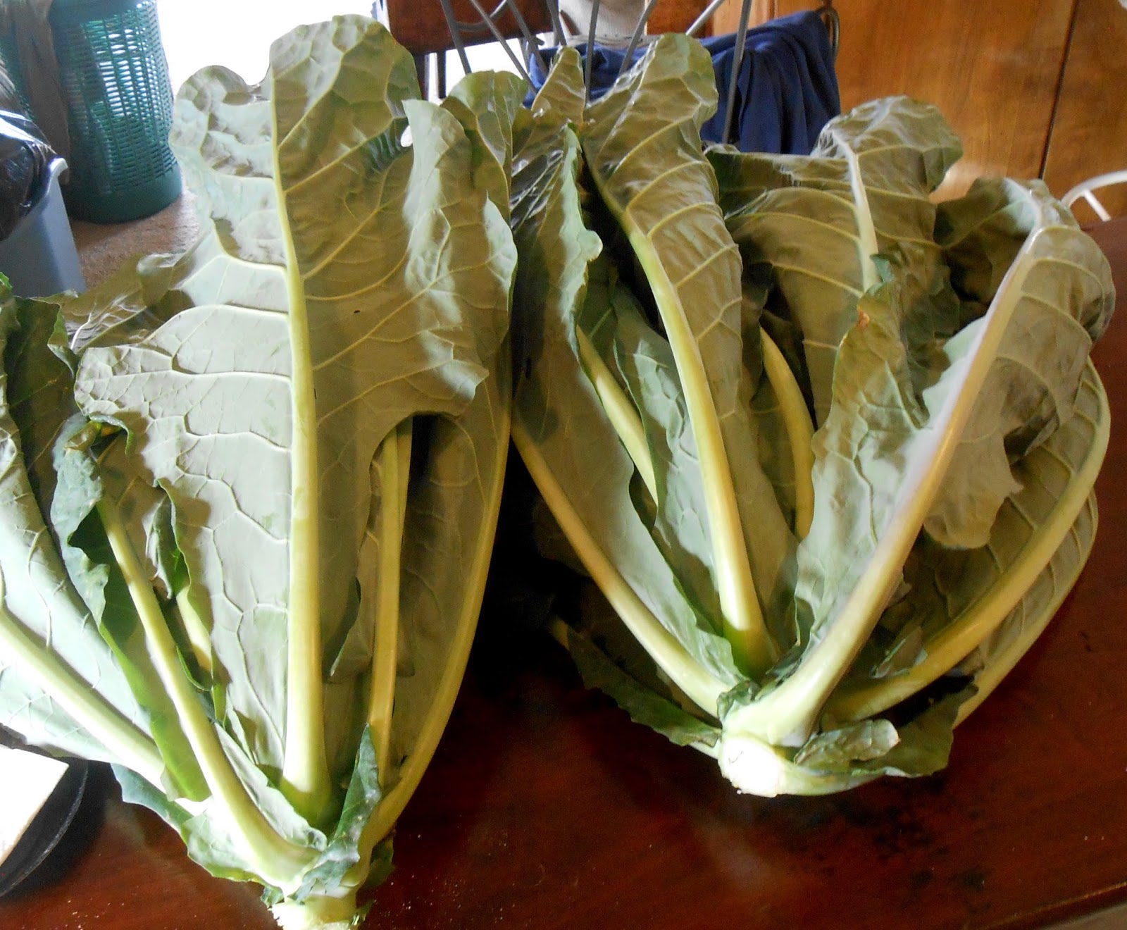 Southern With A Twist Collard Greens and Pork Shanks... Farm Trips with my BFFF Mary!