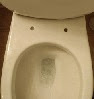 This toilet has no toilet seat