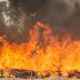 Π.Υ:59 δασικές πυρκαγιές το τελευταίο 24ωρο 
