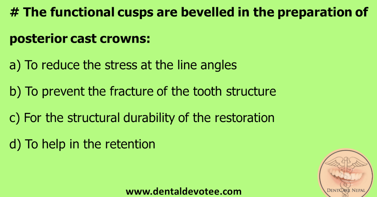Dentosphere World of Dentistry Functional cusp Bevel
