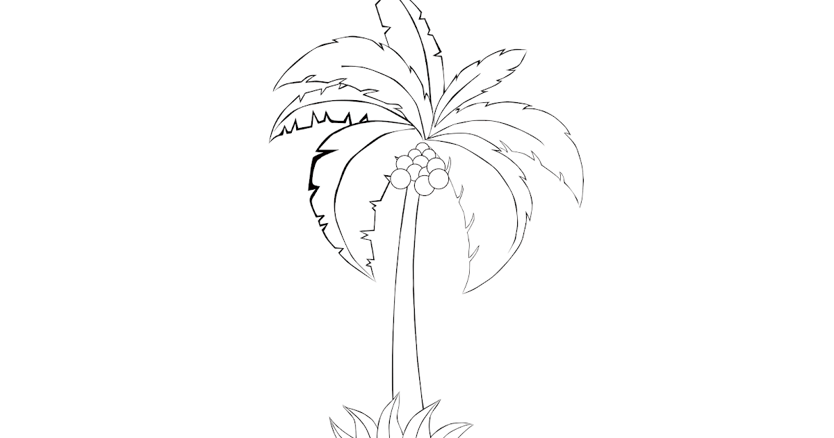gambar mewarnai buah kelapa