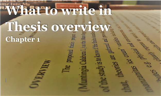 What to write in Thesis overview