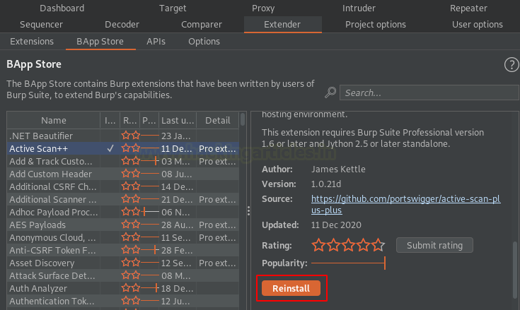 Burp Suite Active Scan