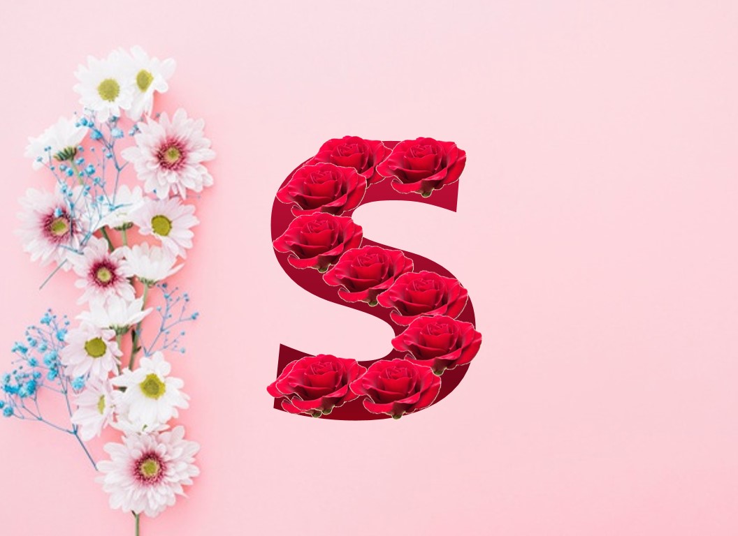 صور حرف s بالورد 2021 خلفيات حرف اس رومانسية مصراوى الشامل