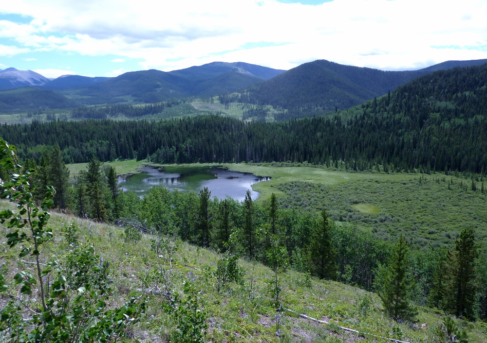 Another Side of this Life CR2012 Sibbald Creek and Deer Trail