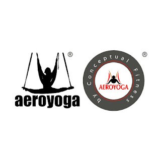 formación yoga aéreo, yoga aéreo, yoga aéreo argentina, qué es yoga aéreo?, cursos yoga aéreo, clases yoga aéreo, formación aeroyoga, clases aeroyoga, seminarios, formación profesional, 