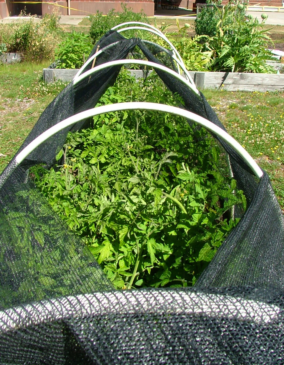 Oregon Coast Gardener