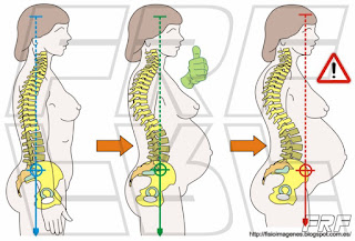 El embarazo y el equilibrio de la columna vertebral.